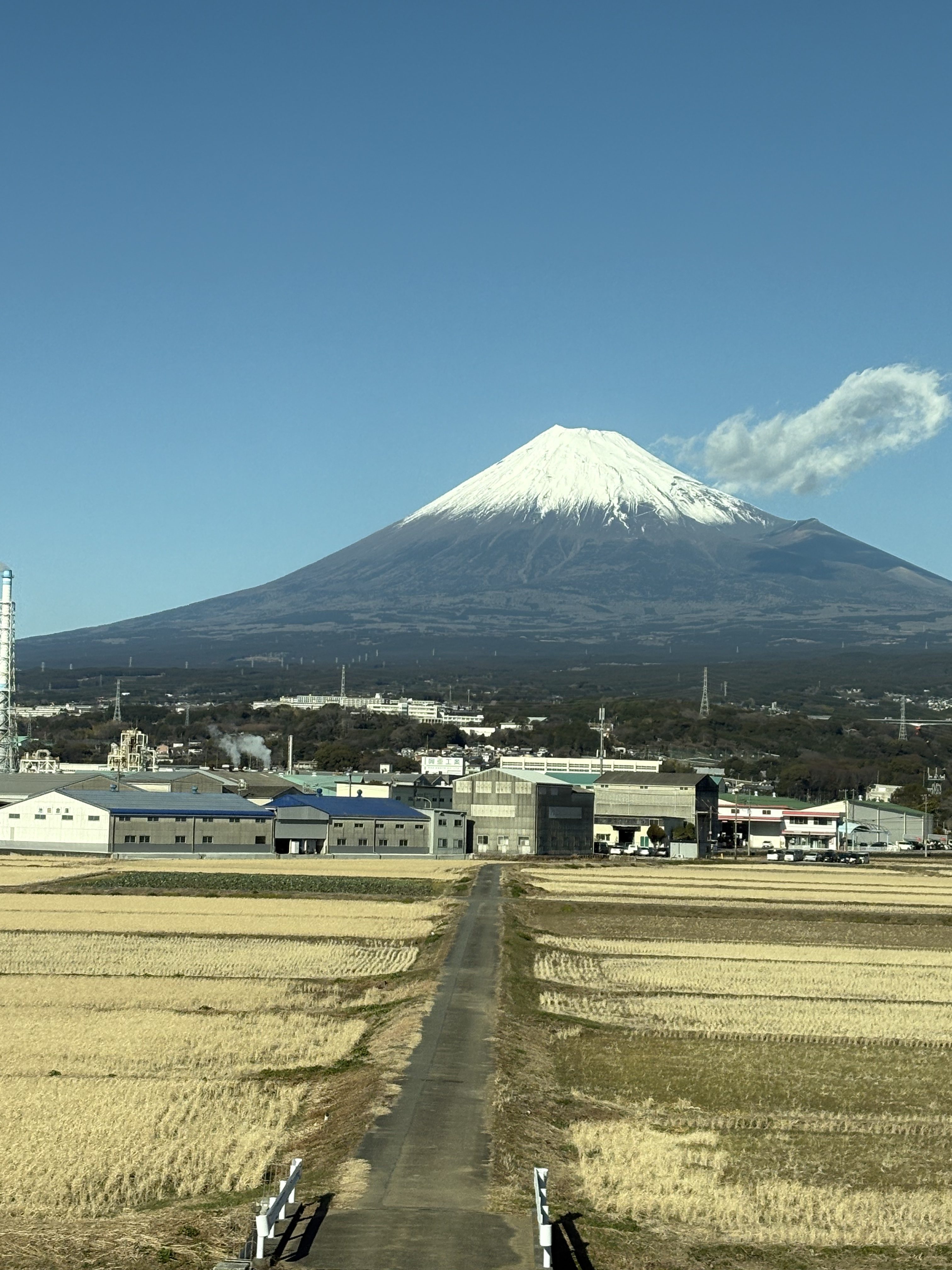 2026年 みなさまにとって充実した一年になりますように✨✨🐨🌈